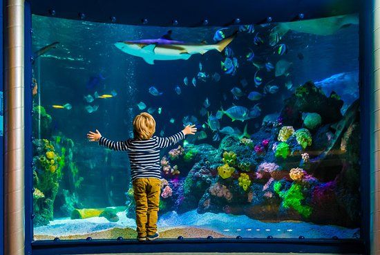 Acquario Sea Life Helsinki